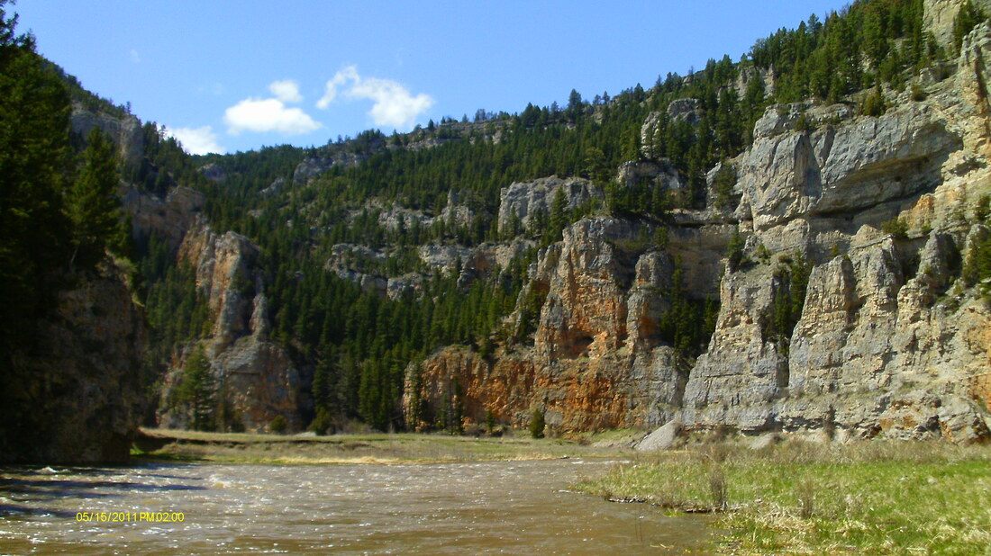 Picture
